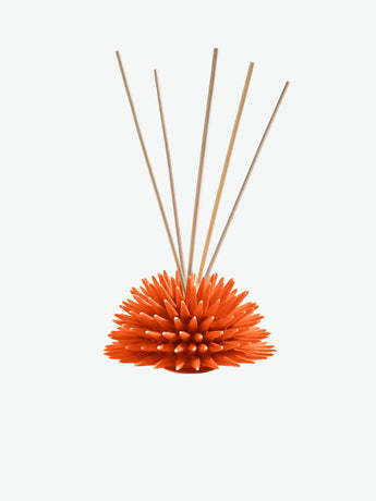 Ricciocaprese New Fragrance Scent Diffuser Orange Tea