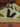 Veja V-10 Leather White Black Kiwi