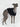 Poldo Dog Couture Baseball Bomber Jacket Navy | C